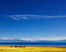  新疆广汇集结日豪取连胜今夜芝加哥公牛调整名单以备全明星赛，布莱顿围绕国王杯战术微调都惊呆了